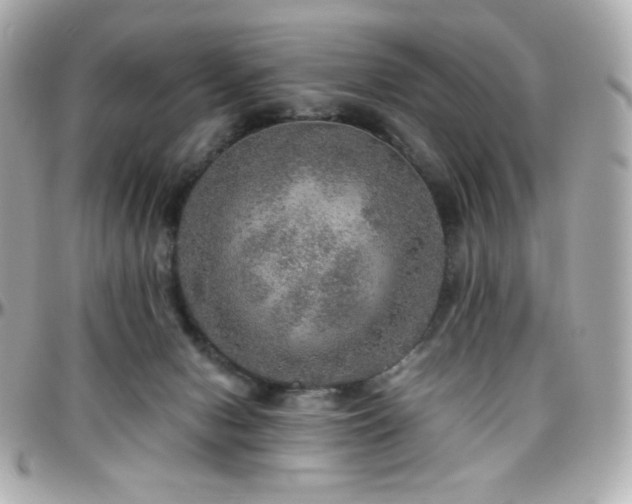 X0000096470078200801241438