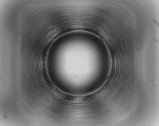 X0000096470080200801241438