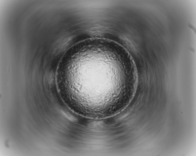 X0000096470081200801241438