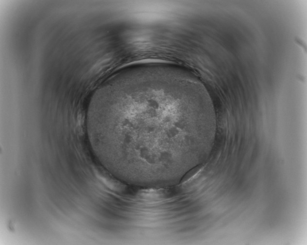 X0000096470082200801241438