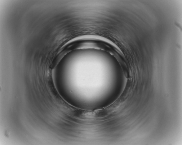 X0000096470084200801241438