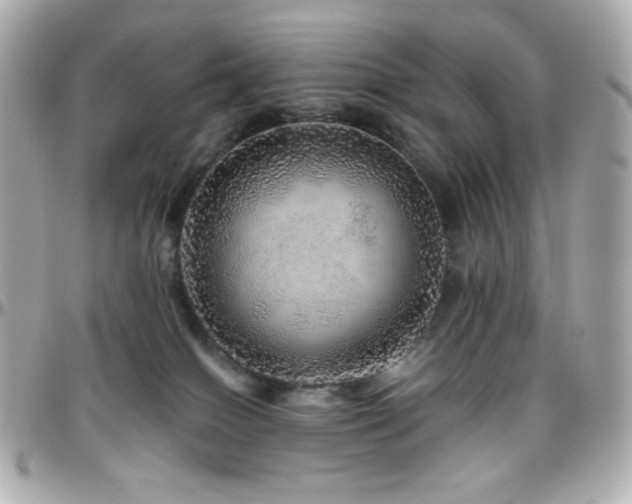 X0000096470086200801241438