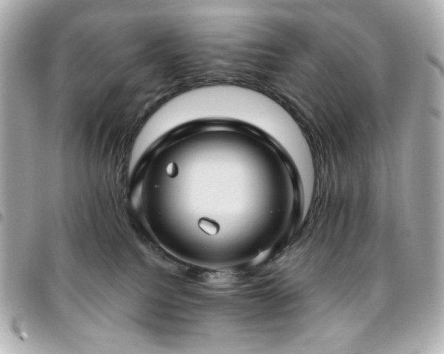 X0000096470088200801241438