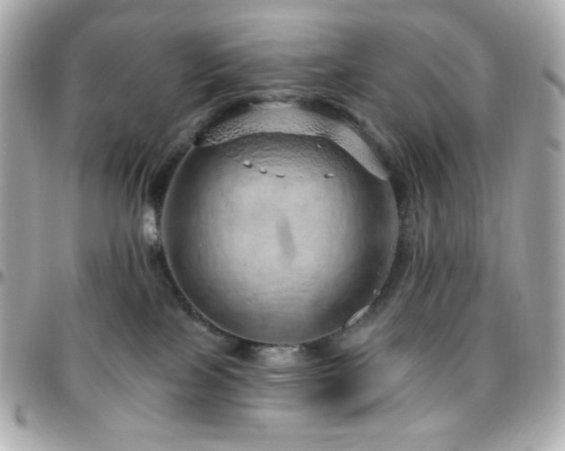 X0000096470089200801241438