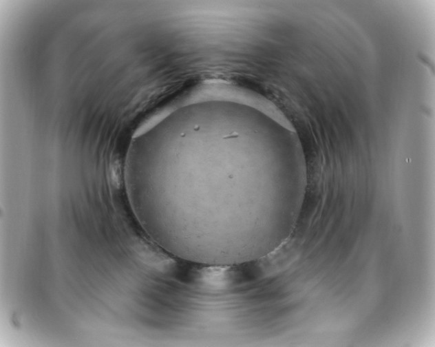 X0000096470090200801241438