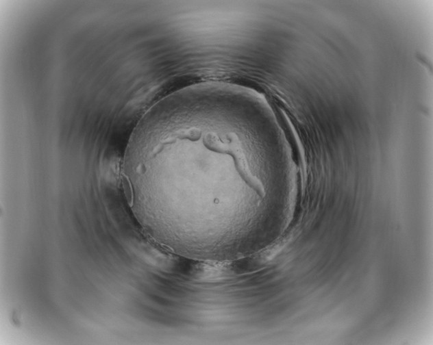 X0000096470093200801241438