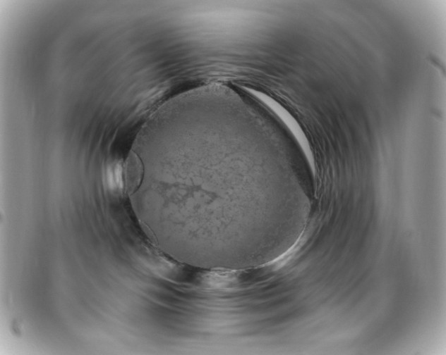 X0000096470094200801241438