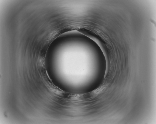 X0000096470096200801241438