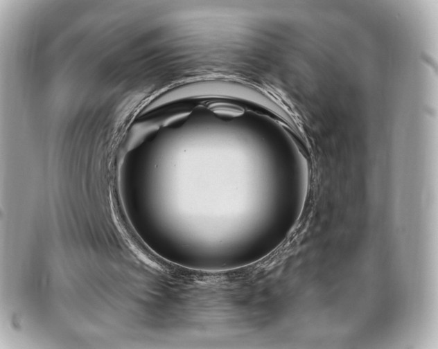 X0000096470097200801241438