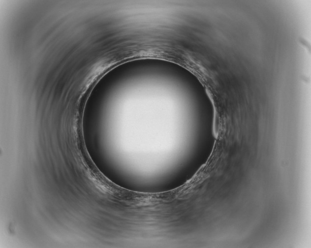 X0000096470098200801241438