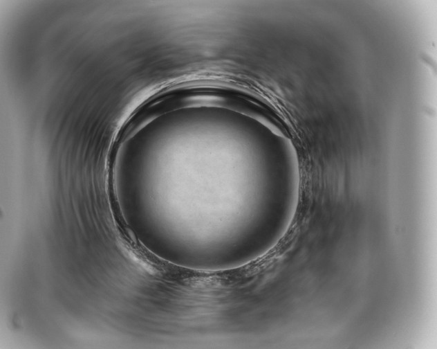 X0000096470100200801241438