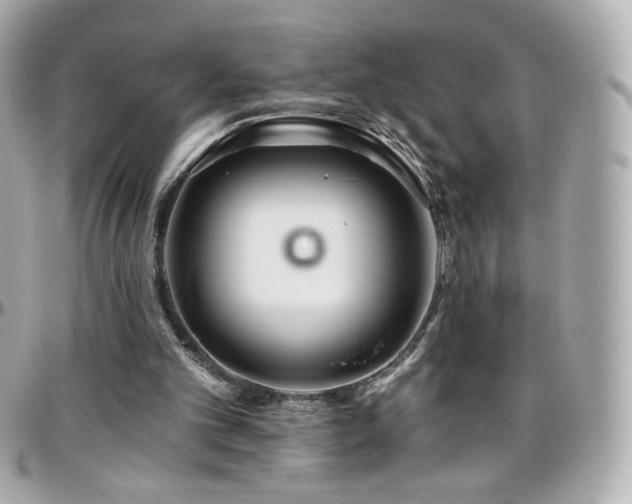 X0000096470101200801241438