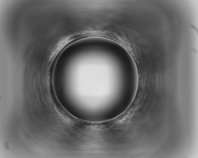 X0000096470103200801241437