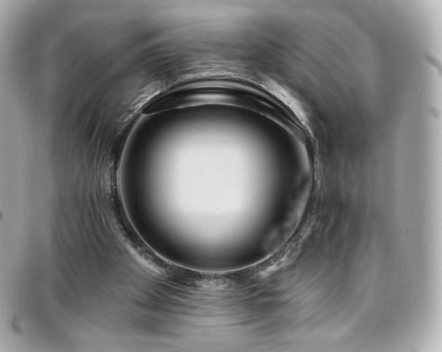 X0000096470105200801241437