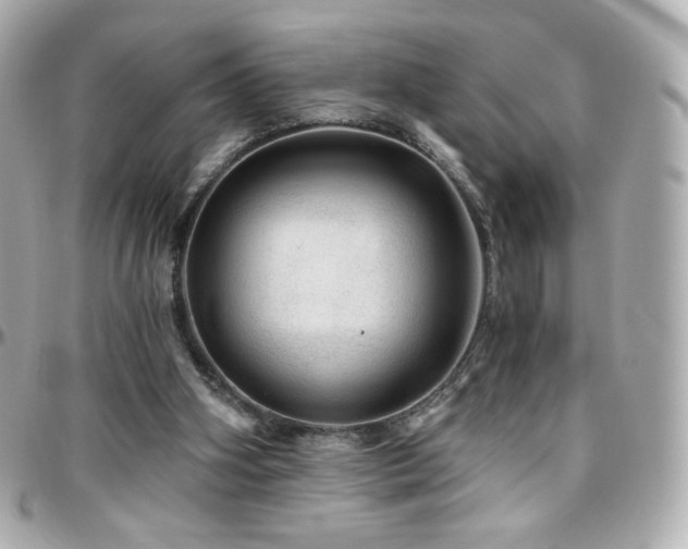 X0000096470106200801241437