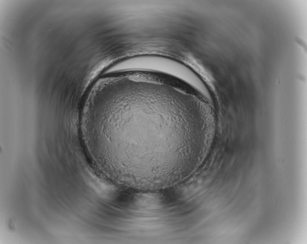 X0000096470107200801241437