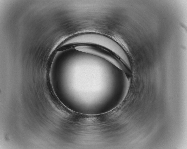 X0000096470108200801241437