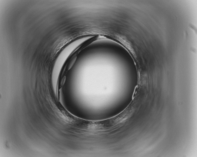 X0000096470109200801241437