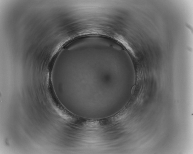 X0000096470110200801241437