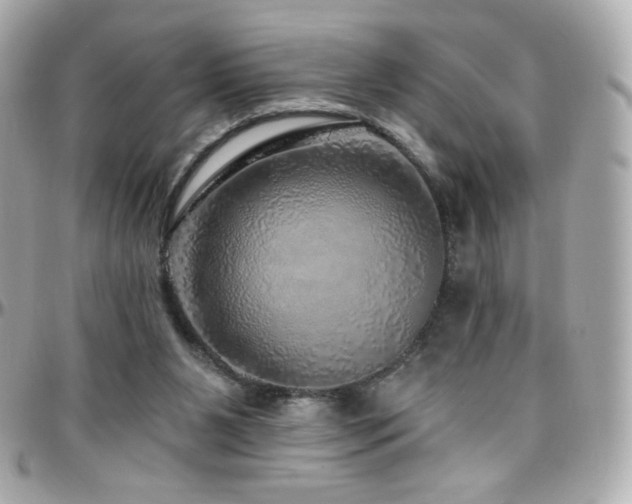 X0000096470111200801241437