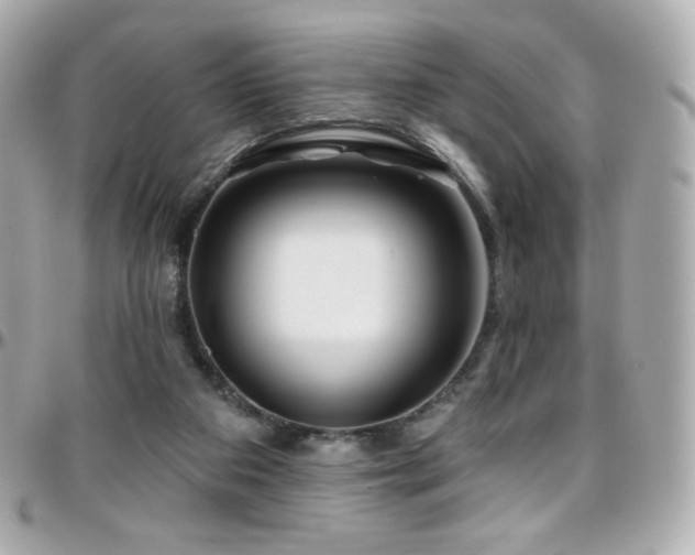 X0000096470113200801241437