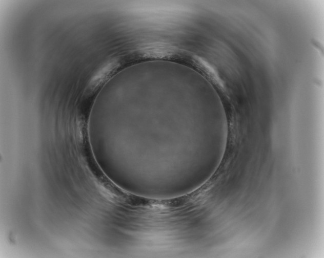 X0000096470114200801241437