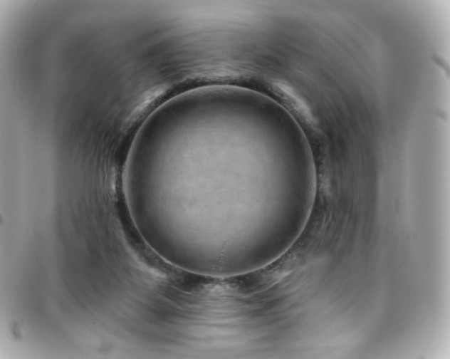 X0000096470115200801241437