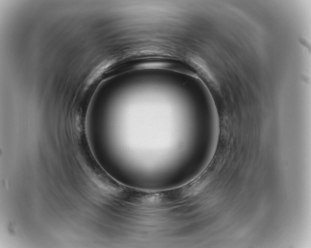 X0000096470116200801241437