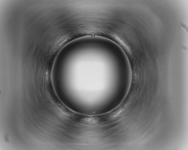 X0000096470117200801241437