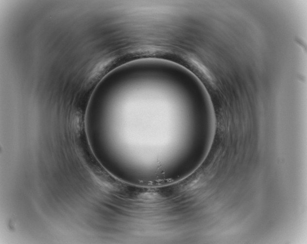 X0000096470119200801241437