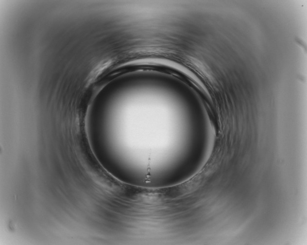 X0000096470120200801241437