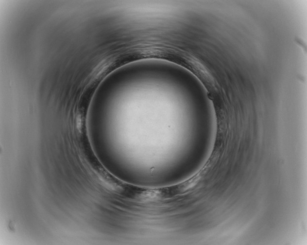 X0000096470124200801241437