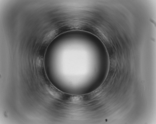 X0000096470126200801241437