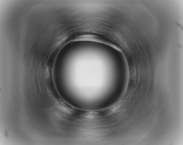 X0000096470128200801241437