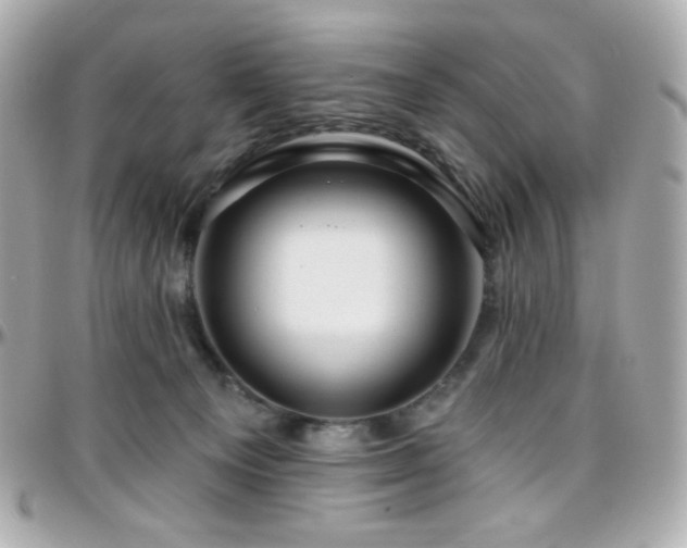 X0000096470129200801241437