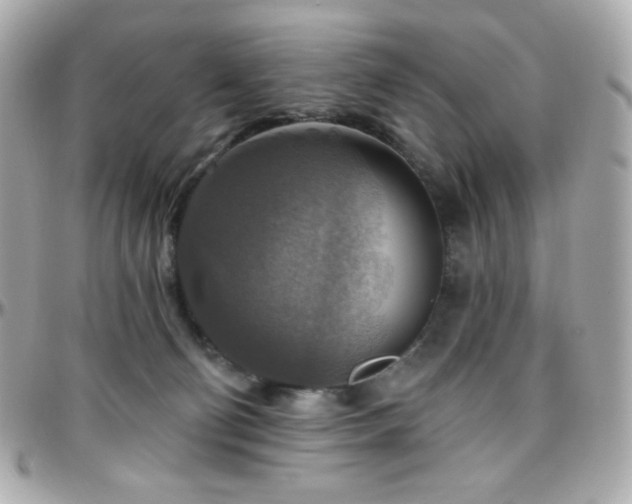 X0000096470130200801241437