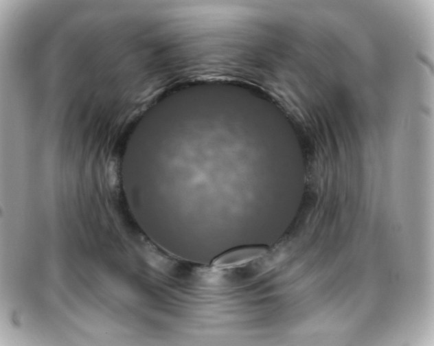 X0000096470131200801241437