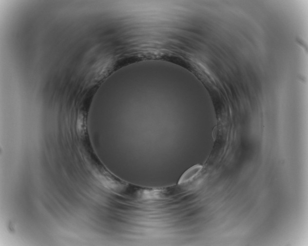 X0000096470134200801241437