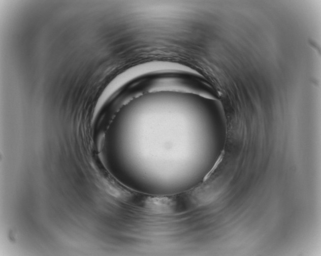 X0000096470137200801241437