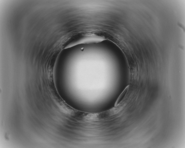 X0000096470138200801241437