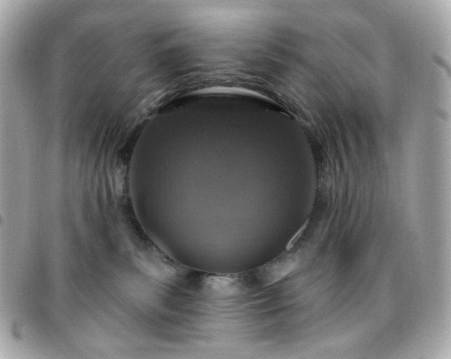 X0000096470139200801241437