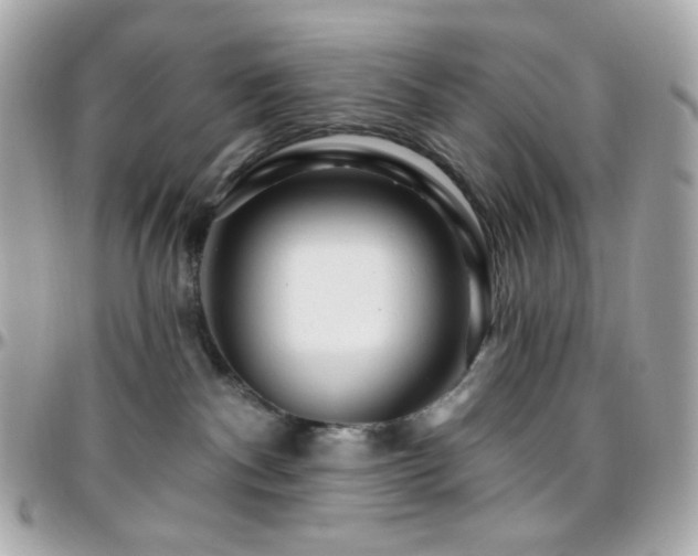 X0000096470140200801241437