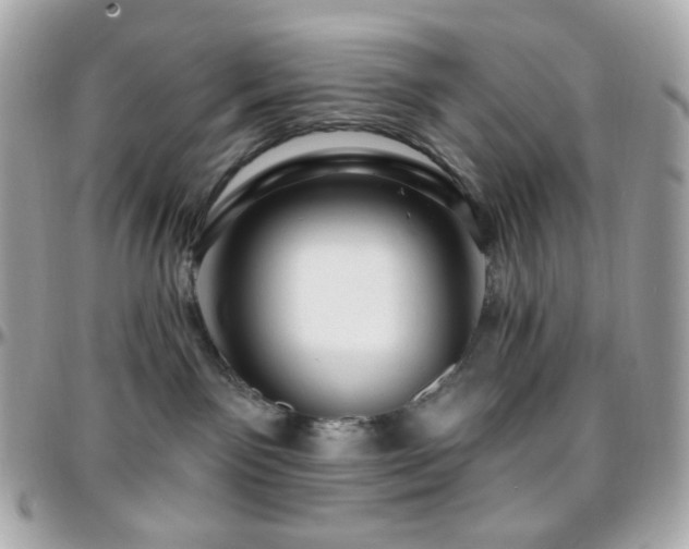 X0000096470141200801241437