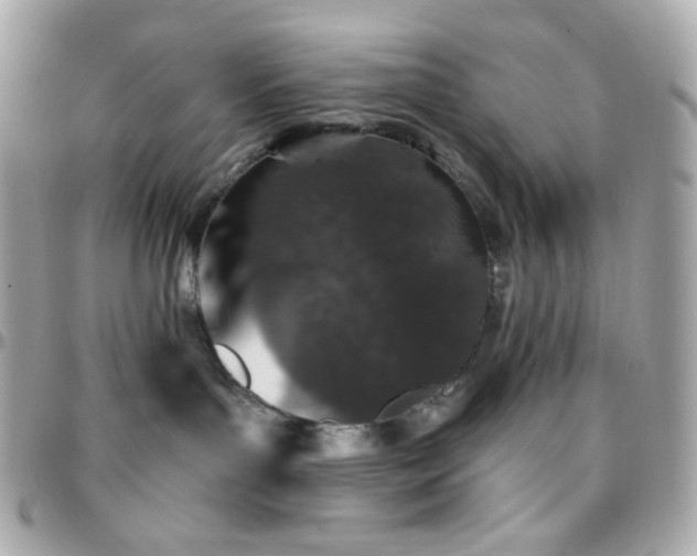 X0000096470143200801241437