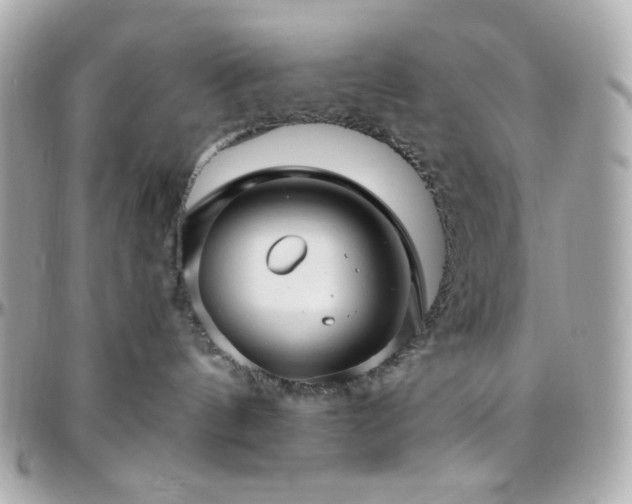 X0000096470144200801241437