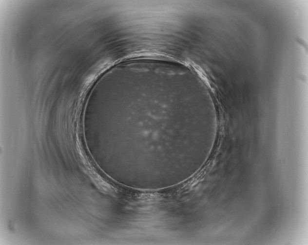 X0000096470145200801241436