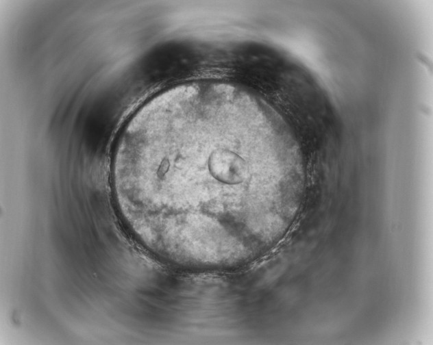 X0000096470146200801241436