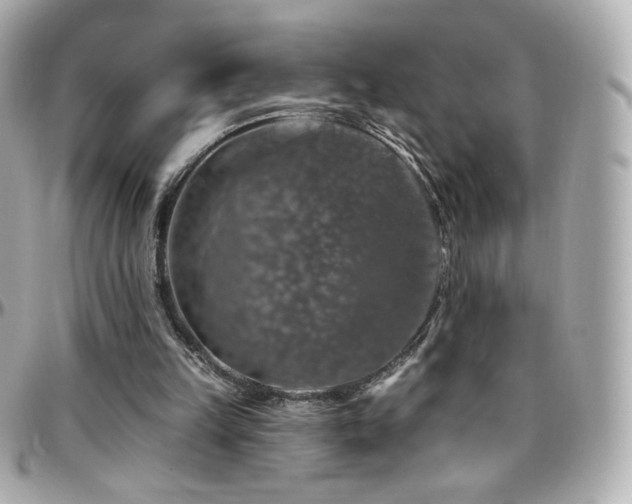 X0000096470149200801241436