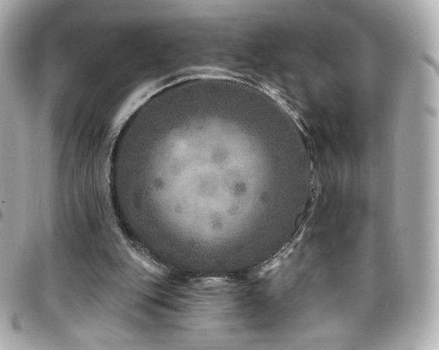 X0000096470151200801241436