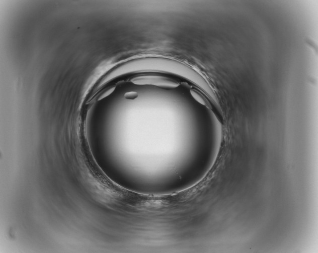 X0000096470152200801241436